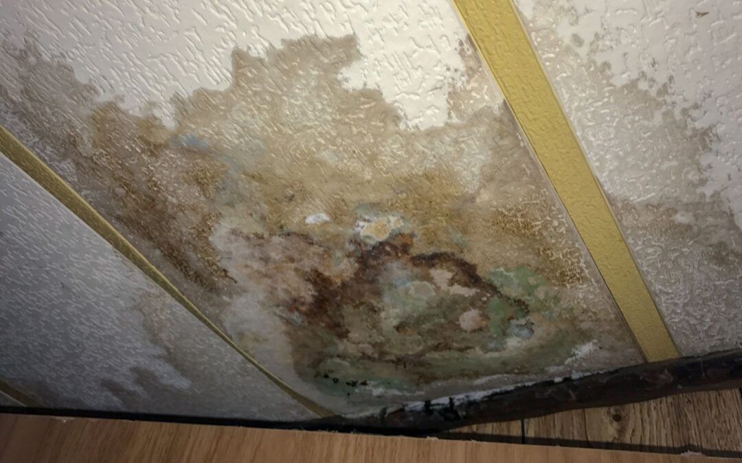 How To Repair A Ceiling With Water Damage?